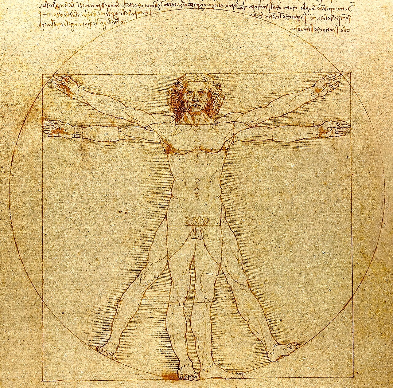 Leonardo da Vinci's Vitruvian Man